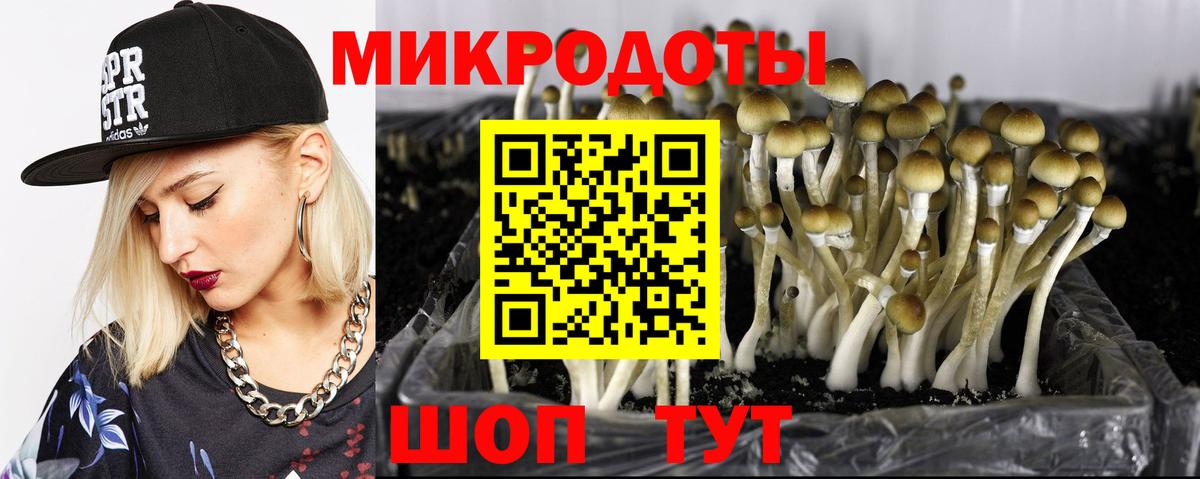 Камышлов  Галлюциногенные грибы ЛСД  дарнет шоп  Вход с VPN 